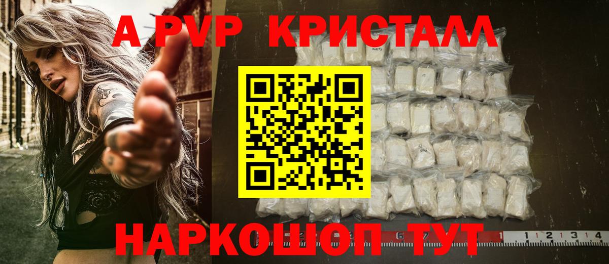A PVP СК Гатчина