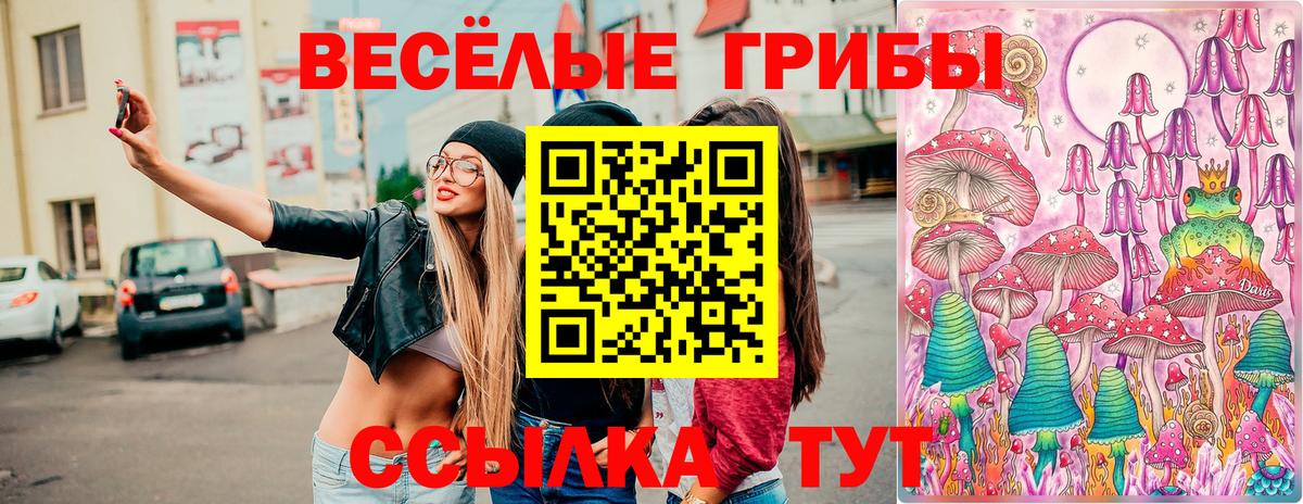 Гатчина  Галлюциногенные грибы мухоморы  Вход с VPN  Псилоцибиновые грибы мухоморы 